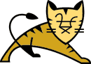 
      Apache Tomcat Servlet/JSP 
    