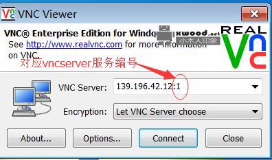 vnc-E4_6_2-x86_x64_win32远程桌面linux工具下载